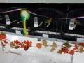 20181124_133246