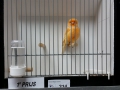 Image00021