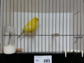 Image00031