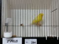 Image00033