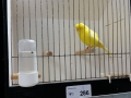 Image00037