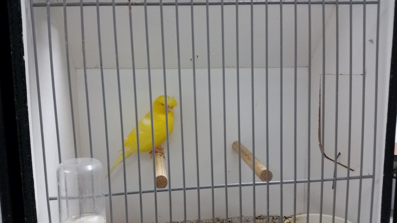 Image00048