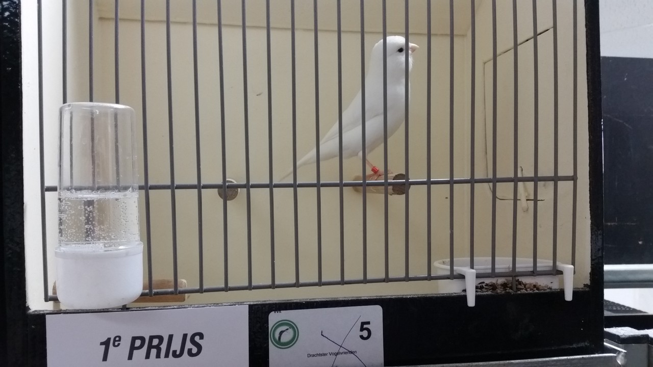Image00057