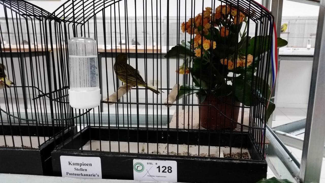 Image00064