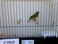 Image00022