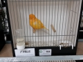 Image00040