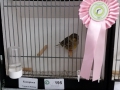 Image00044
