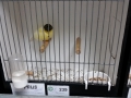 Image00045