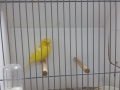 Image00048