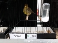 Image00055