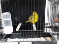 Image00056