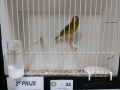 Image00059