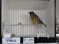 Image00069