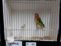 Image00082