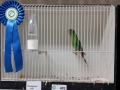Image00085
