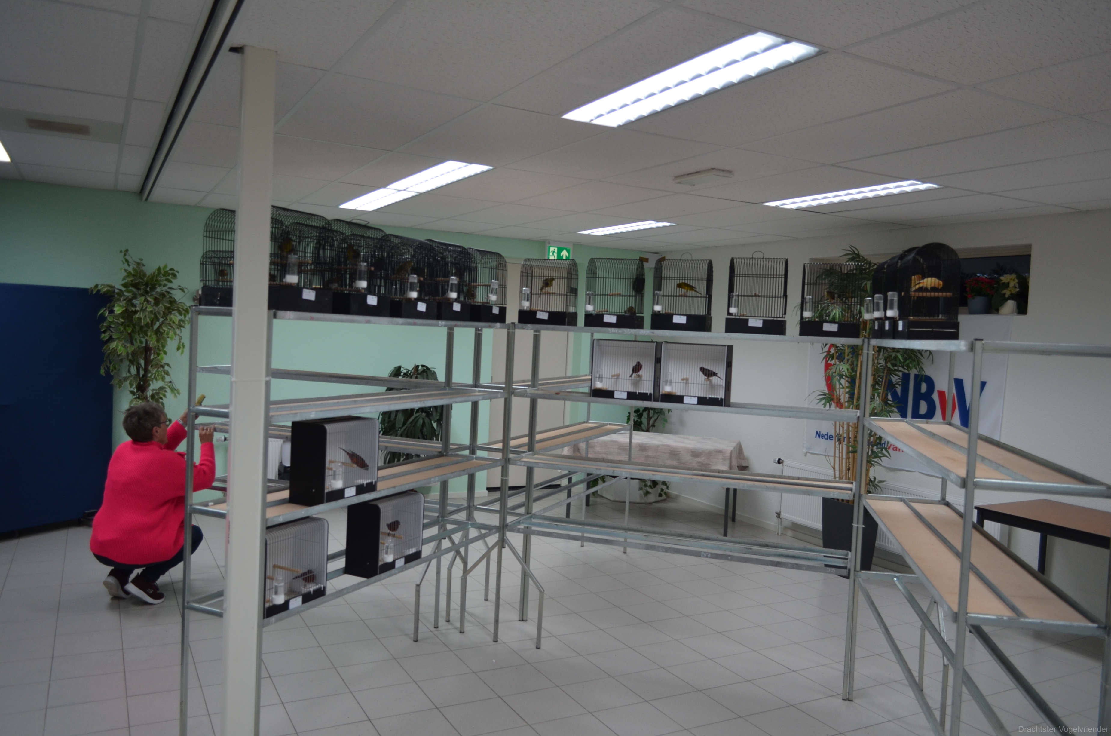 Image00003