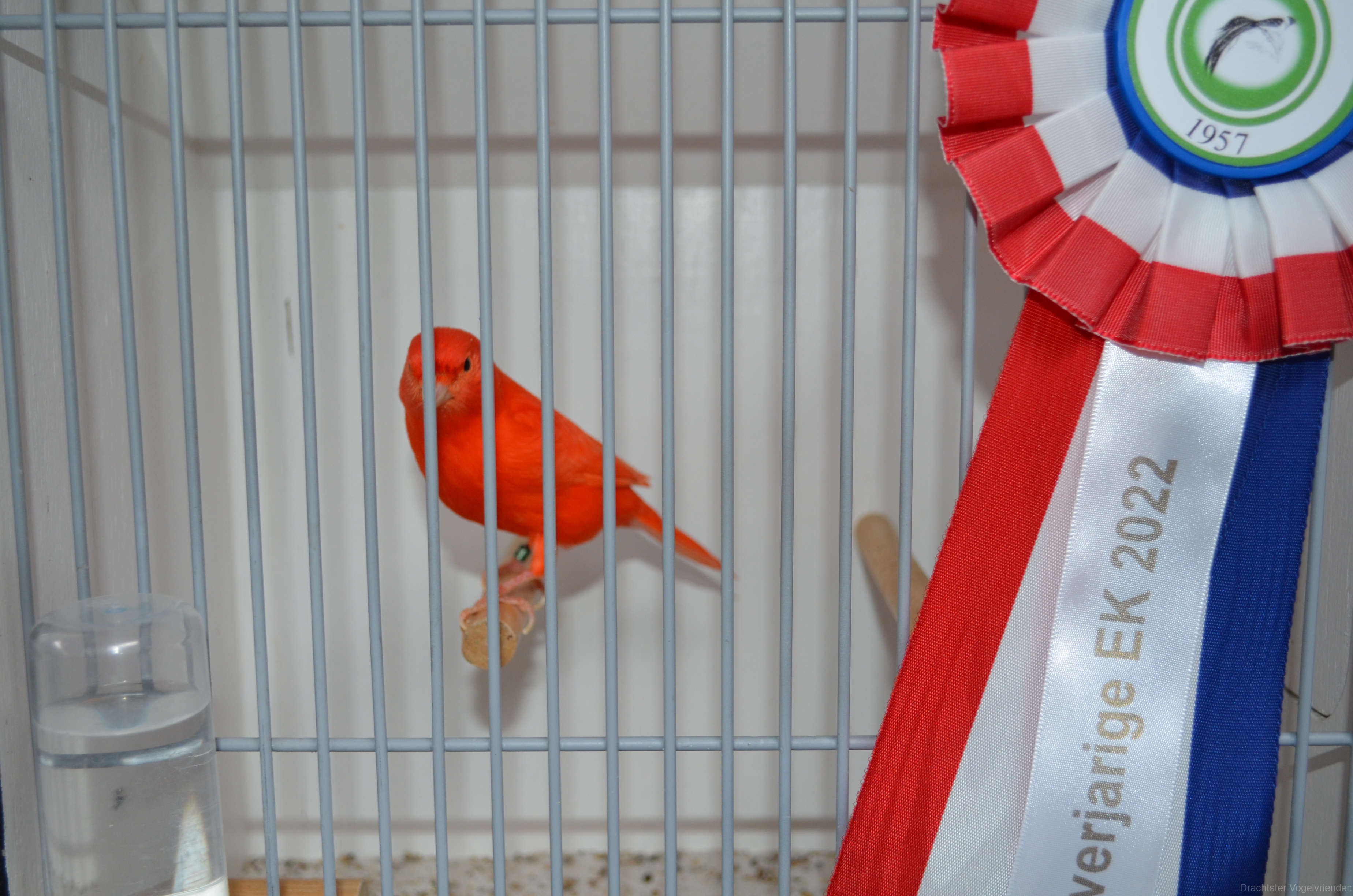 Image00046