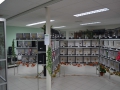 Image00038