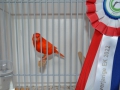 Image00046