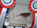 Image00047