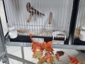 Foto-def_47